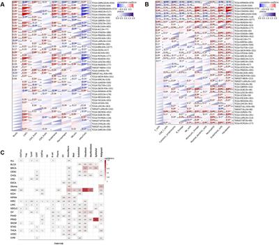 Pan-cancer analysis and single-cell analysis reveals FAM110B as a potential target for survival and immunotherapy